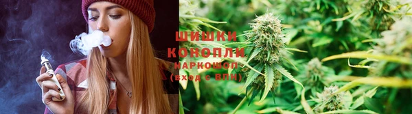 шишки Абдулино