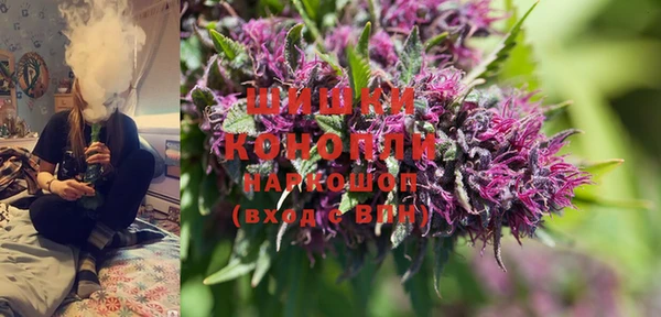 PSILOCYBIN Абаза