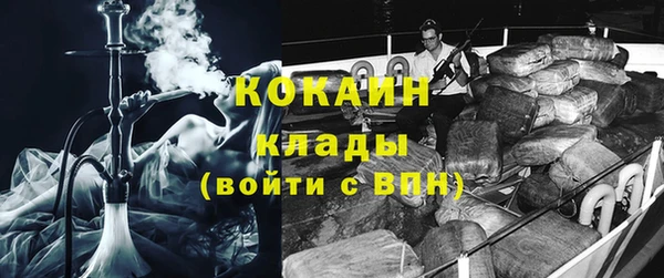 ешки Алексин
