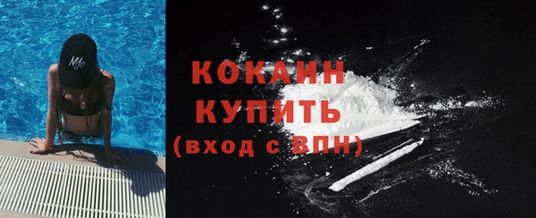 PSILOCYBIN Абаза
