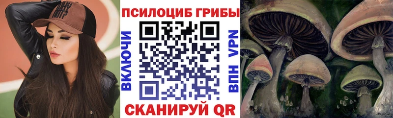 что такое наркотик  Ялта  ОМГ ОМГ ссылка  Галлюциногенные грибы MAGIC MUSHROOMS 